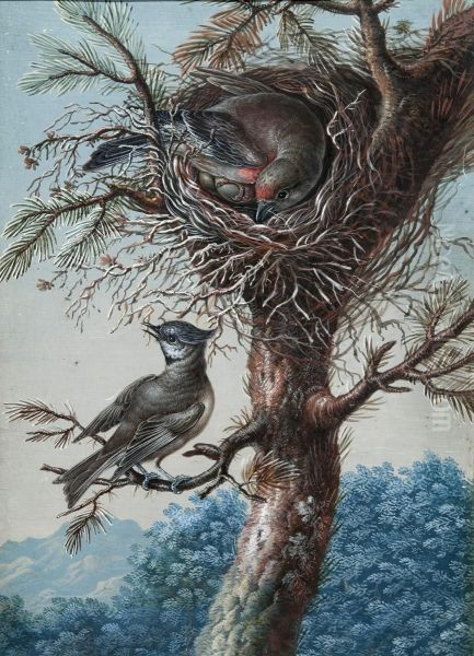 Greater Redpole and crested titmous; Bluethroat - view 1