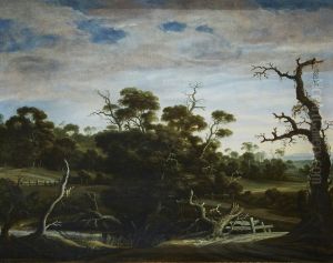 Hilly landscape with trees