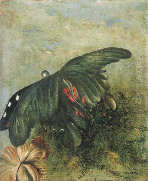 Butterfly - view 1