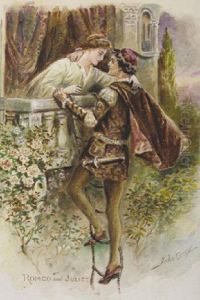 Romeo And Juliet; Othello And Desdemona by John Carey