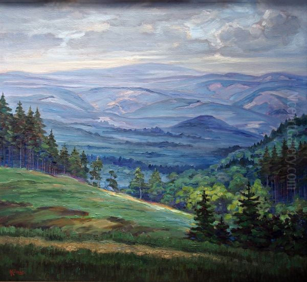 Blaue Berge (Harz) - view 1