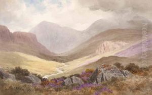 Slieve Donard by Joseph Carey Carey