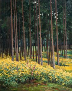 Blutenmeer im Wald Blutenmeer im Wald