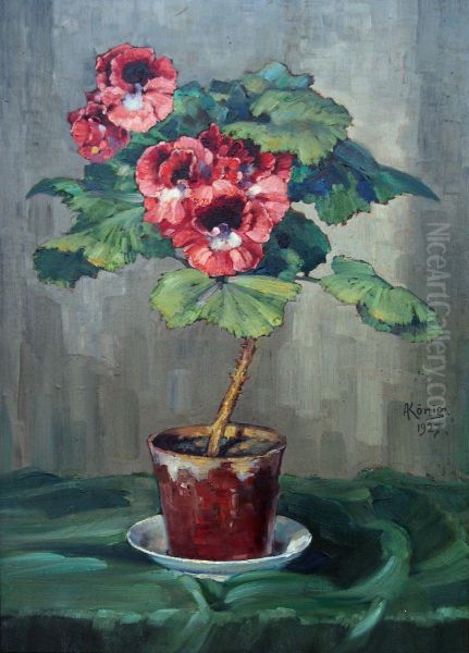 Blume im Topf (Pelargonie) - view 1