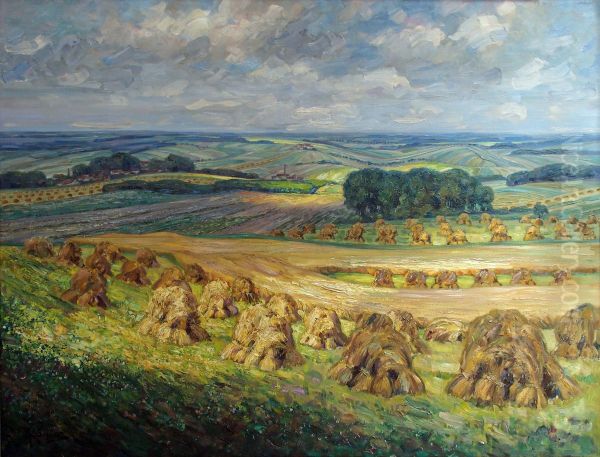 Erntelandschaft im Vorharz - view 1