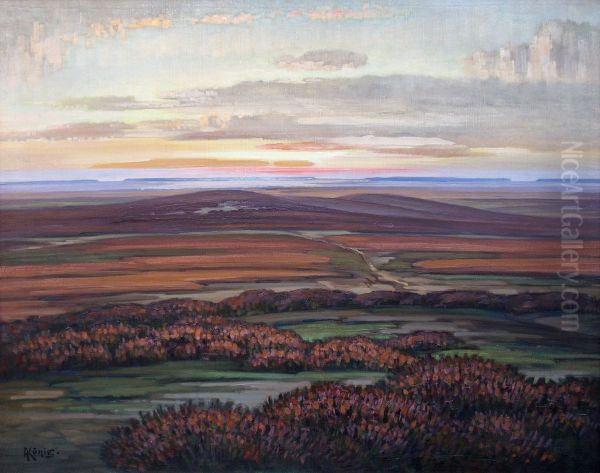 Dammerung in der Heide - view 1
