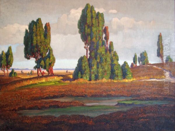 Heidelandschaft mit Wacholder - view 1