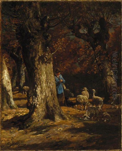 The Old Forest - view 1