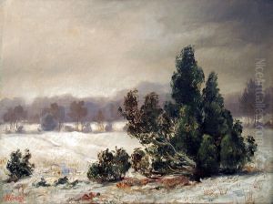 Wacholder im Schnee Wacholder im Schnee