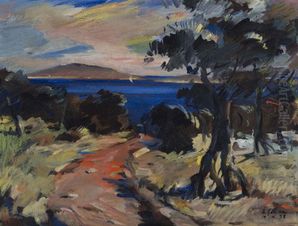Olive Grove on the Island of Vrgada - view 1