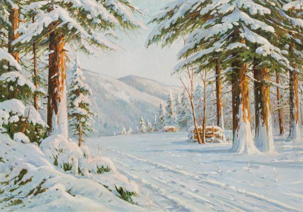 Winterwald - view 1