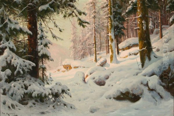 Waldszene zur Winterszeit - view 1