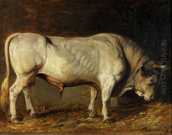 Stier Ochsenbein - view 1