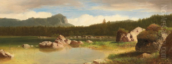 Landscape - view 1