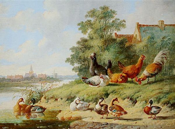 Birds at the river - view 1