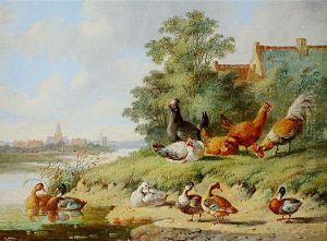 Birds at the river