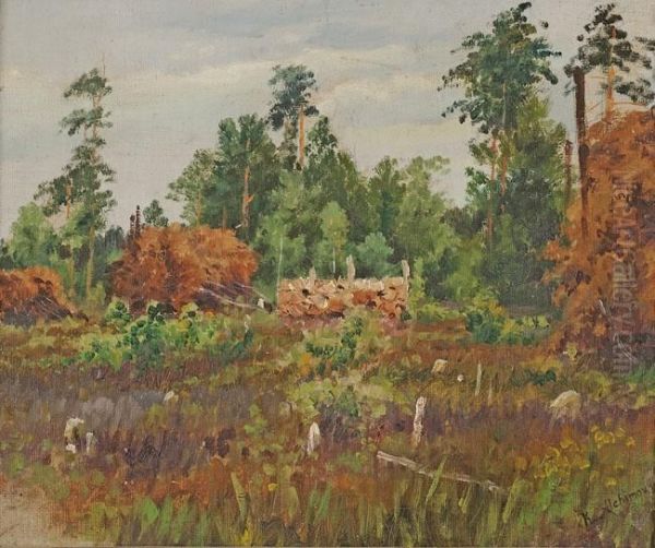 Forest clearing - view 1