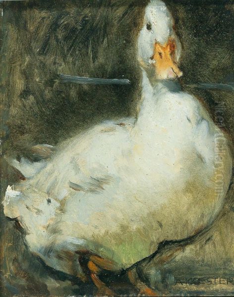 Duck - view 1