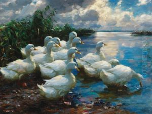 Ducks by a lake by Alexander Koester