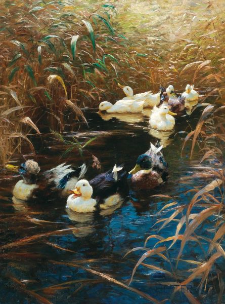 Ducks in autumn reeds - view 1
