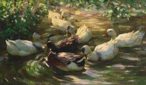 Ducks on a Pond by Alexander Koester
