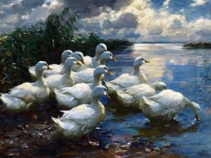 Enten am Ufer des Bodensees. by Alexander Koester
