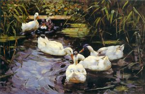Enten auf einem Schilfteich by Alexander Koester