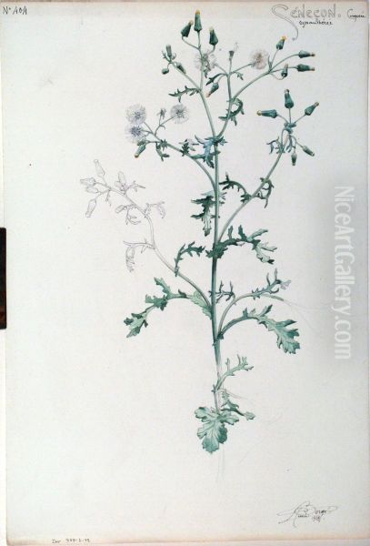 Etude de Senecon - view 1