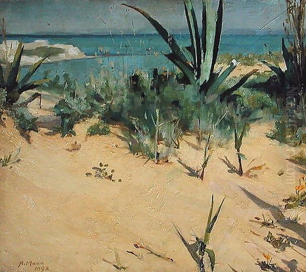 Sand Dunes, Tangier - view 1