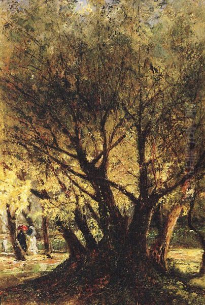 Olive Trees in Menton - view 1