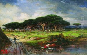 Pine Forest near Menton