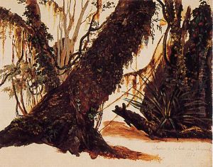 Estudio de arboles de Llanquihue
