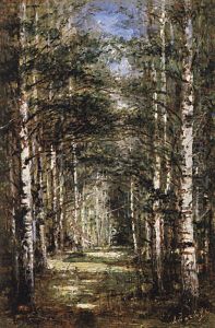 Birch Grove Birch Grove