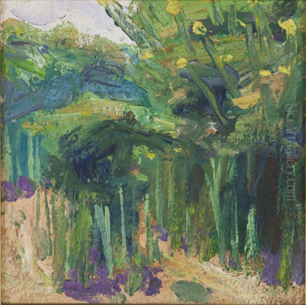 Old-growth Forest - view 1