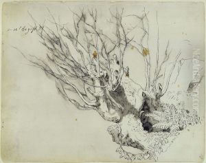 Stumpf einer Weide mit neuen Zweigen by Caspar David Friedrich