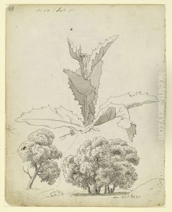 Distel und zwei Baumstudien Distel und zwei Baumstudien