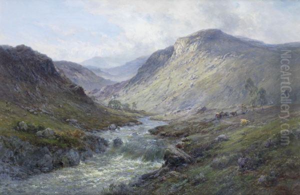 A Perthshire river - view 1