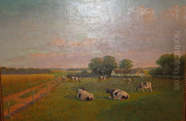 Seven cows in a field. - view 1