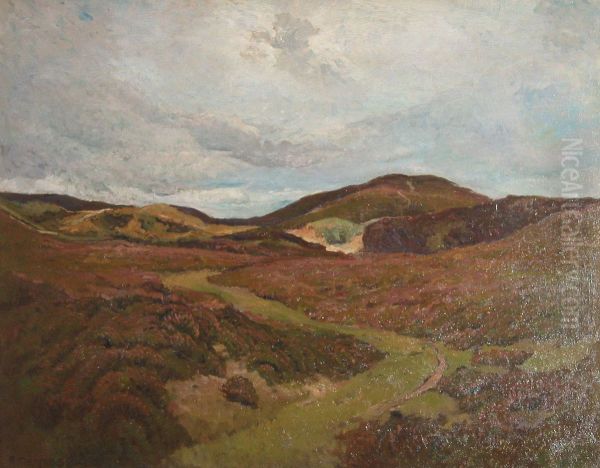 Heath landscape (2). - view 1