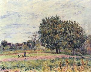 Nussbaume bei untergehender Sonne, Anfang Oktober by Alfred Sisley