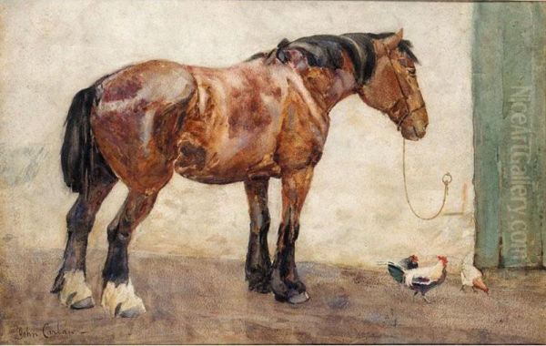 Pony And Chickens In A Yard - view 1