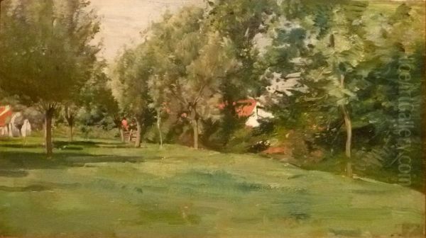 Meadow with willows (Knokke) - view 1