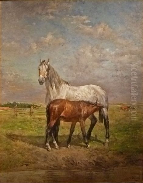 Mare with foal - view 1