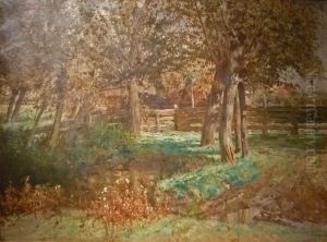Soggy meadow with willows Soggy meadow with willows