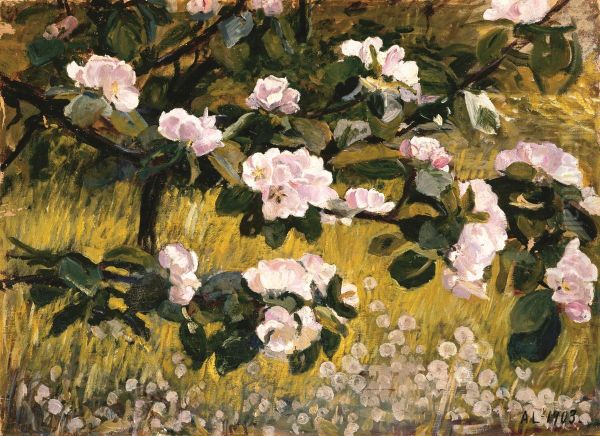 Flowering apple tree - view 1