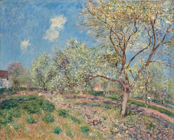 Spring in Veneux - view 1