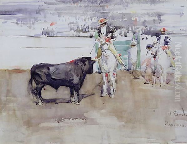 Algeciras Bullring - view 1