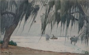 Spanish Moss, Tampa bay, Florida by Winslow Homer