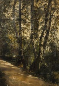Birches by the roadside