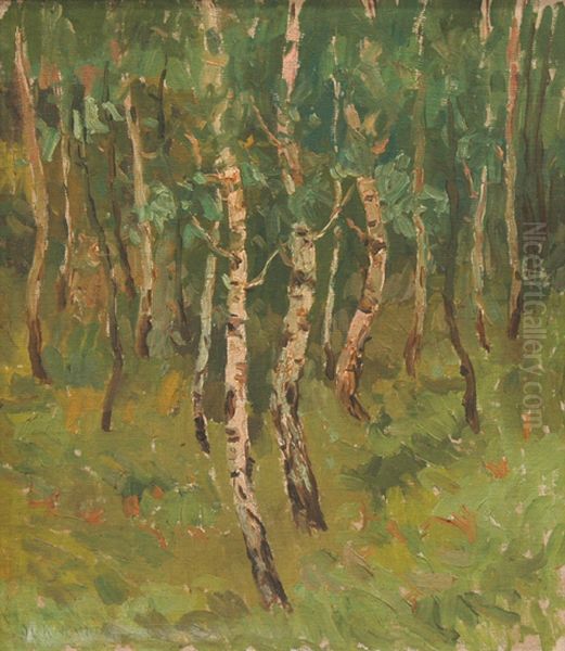 Landscape with birch trees - view 1